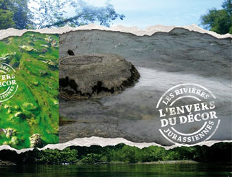 La vérité sur l&rsquo;état alarmant des rivières jurassiennes