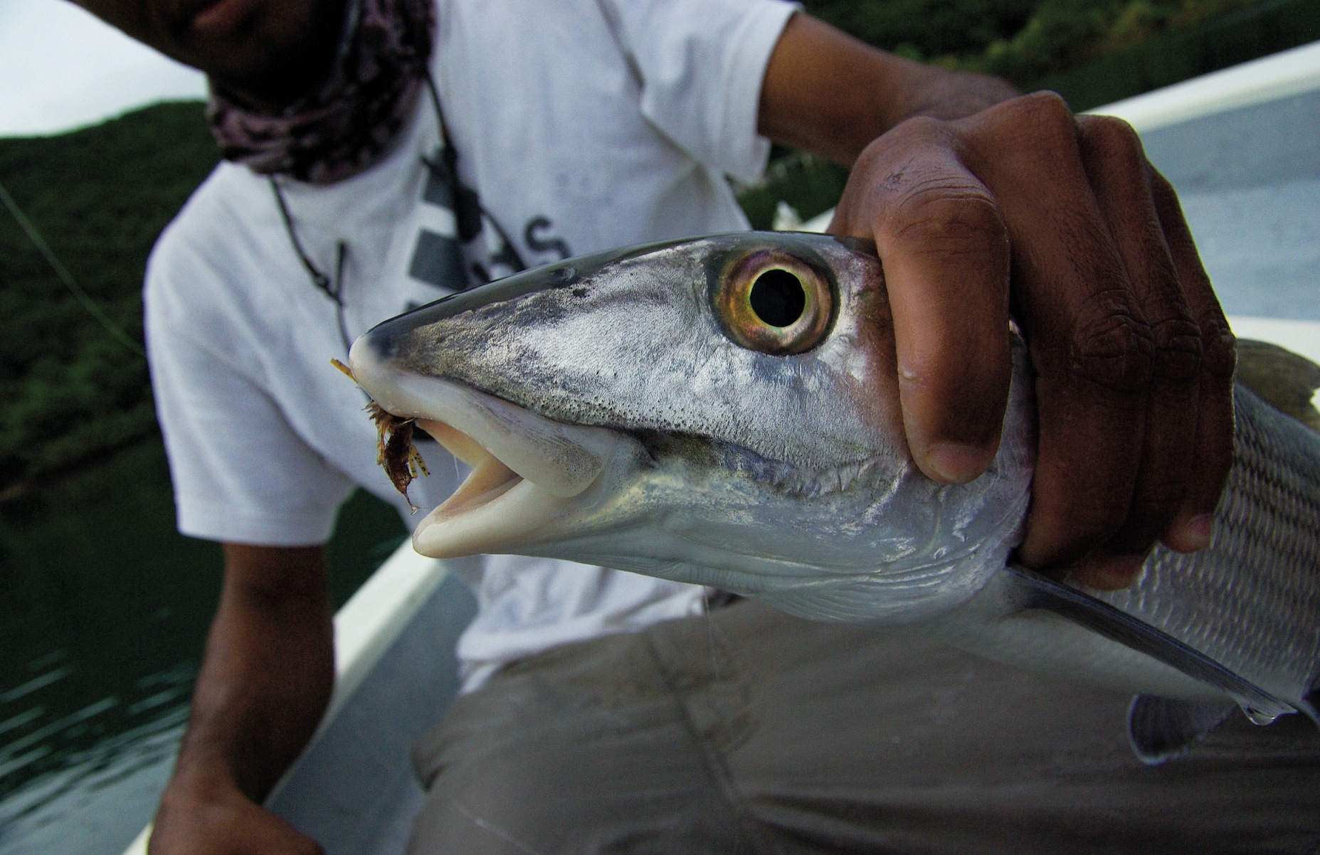 Voyage de pêche : rendez-vous en mer inconnue