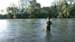 Destination Pyrénées