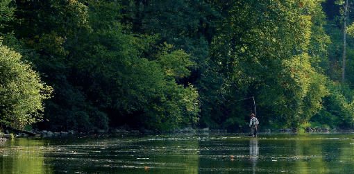 Rassemblement franco-suisse du 14 mai à Goumois