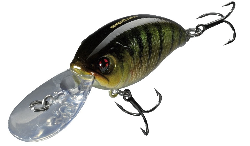 Nantes : 1er prix des Trophées de l’innovation 2013 pour Sakura