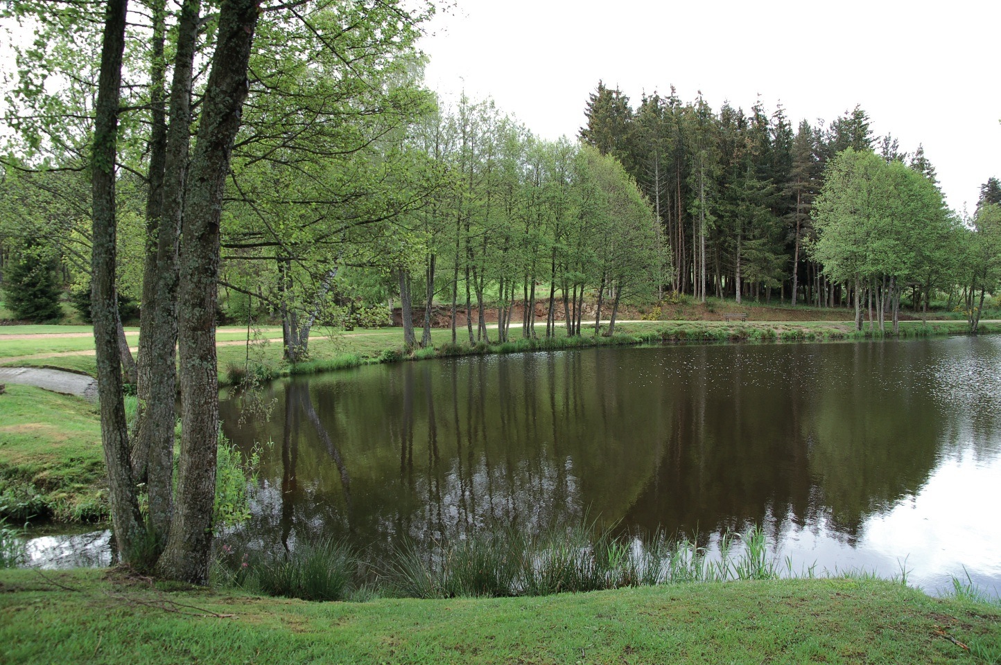 La Fédération de pêche créée deux nouveaux réservoirs dans  le département de la Loire