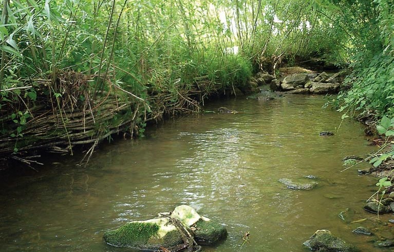 Nitrates : la France à nouveau condamner par l’UE