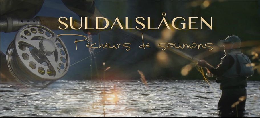 Le saumon en Norvège sur la Suldal