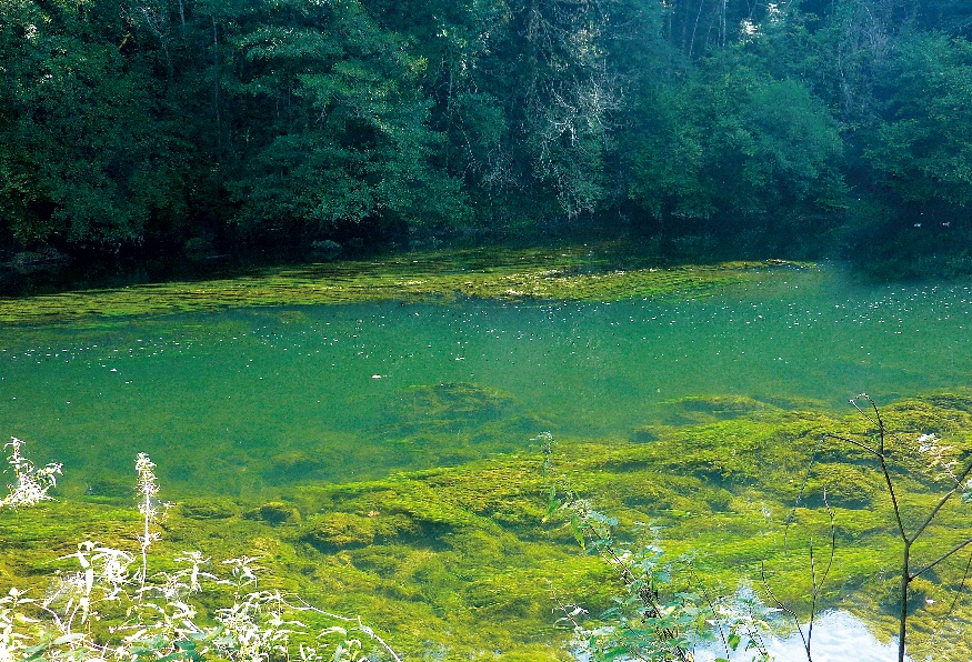 Anper TOS, l’énergie du renouveau
