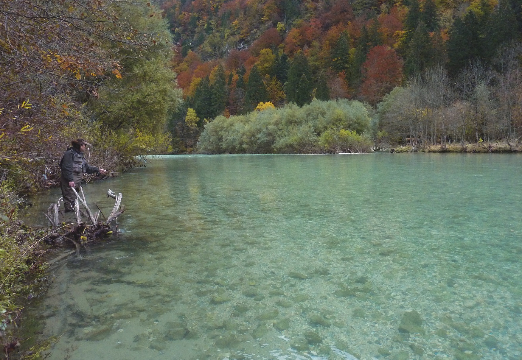 Slovénie, paradis perdu :  la réponse de l’institut de la pêche slovène