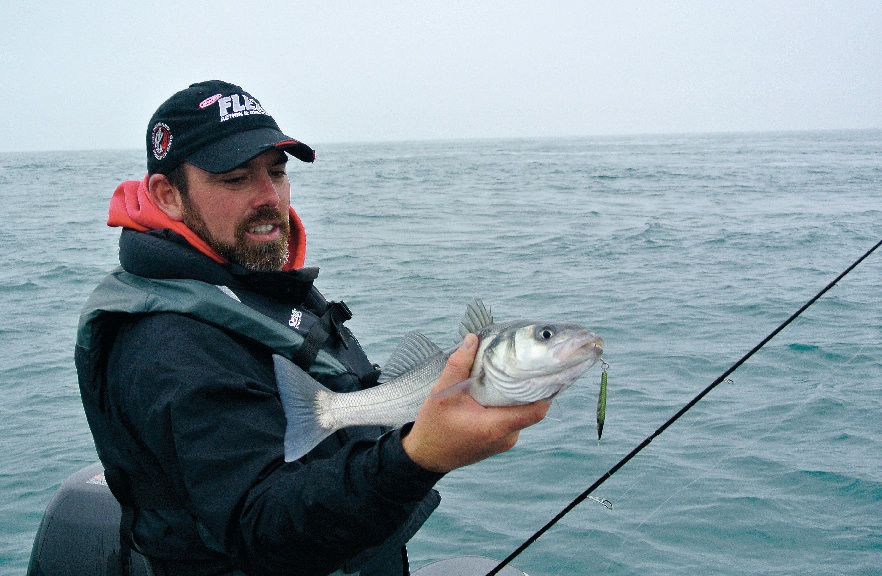 Sébile Fast Cast et Vibrato, des leurres « deux en un »