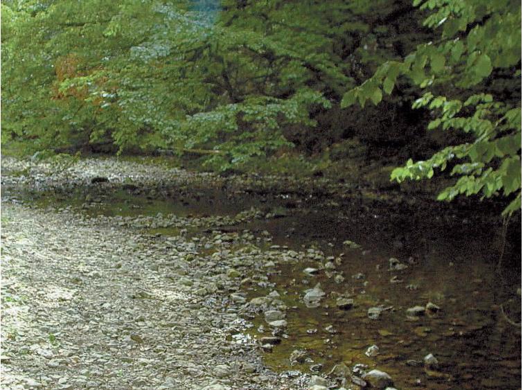 La sécheresse est déjà là