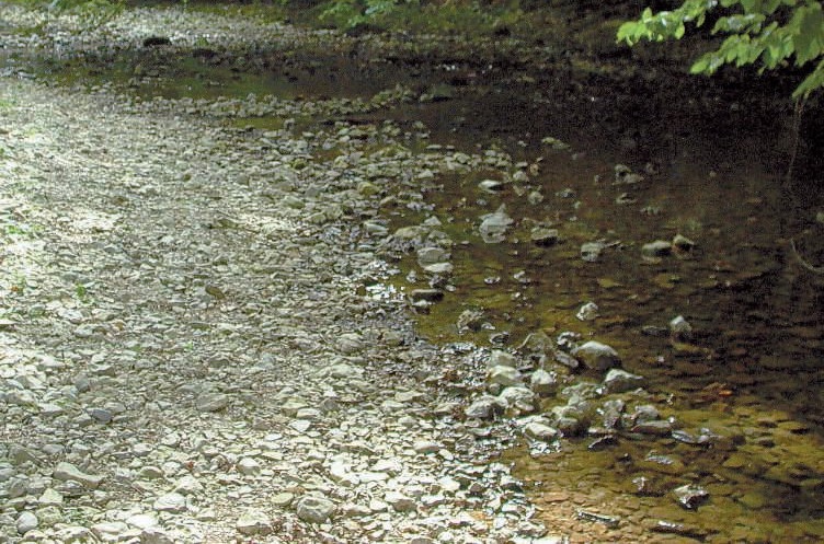 2011, l’année la plus chaude en France depuis plus d’un siècle