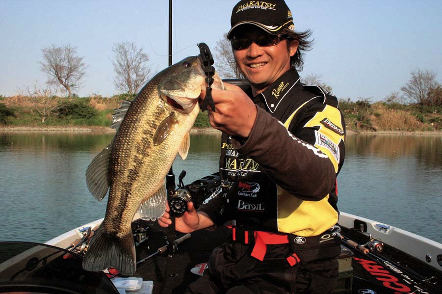 Pêcher avec des soft swimbaits