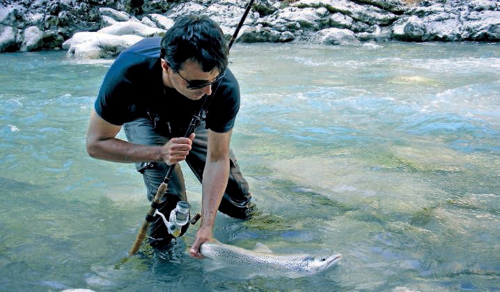Truites lacustres en rivière : mode d’emploi…