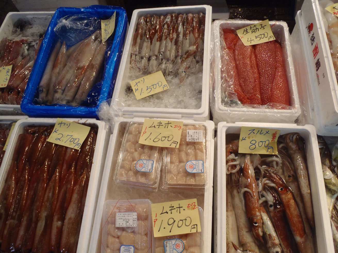 Catastrophe au Japon : quelles conséquences pour les ressources halieutiques ?