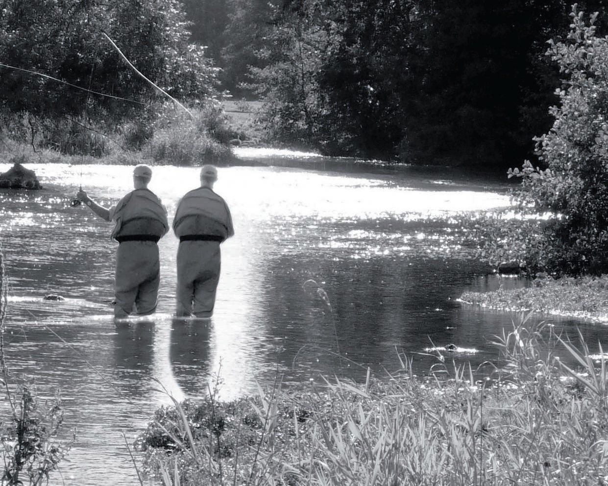 Les sept familles de la pêche – Les Viandards