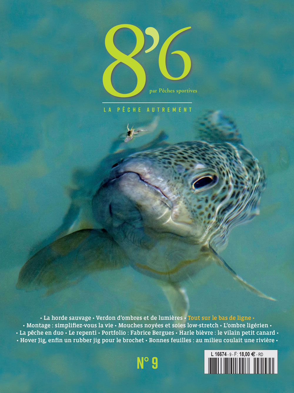 8’6 numérique n°9